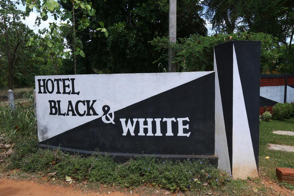 Eco Hotel Black & White - Anuradhapura Mihintale Exterior photo