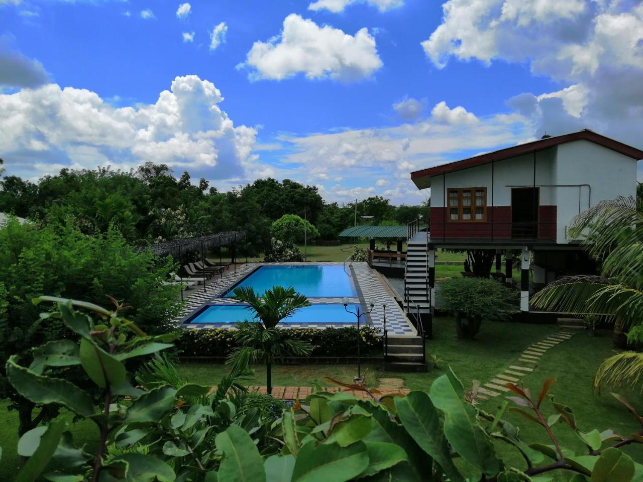 Eco Hotel Black & White - Anuradhapura Mihintale Exterior photo